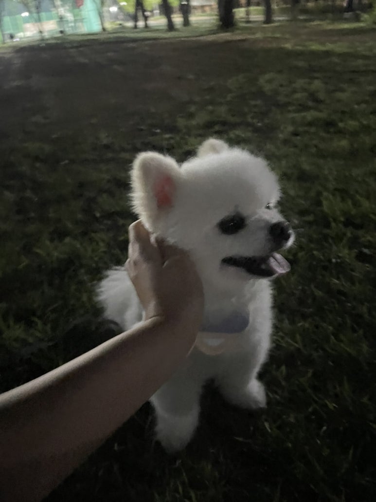 오씨오씨 이미지