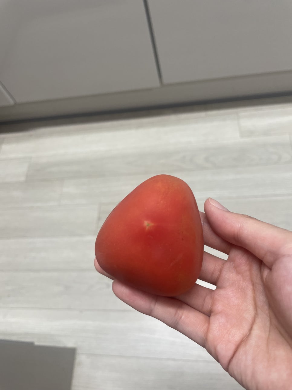 과일24 이미지