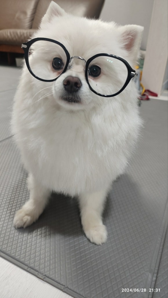 짐포리식당 이미지