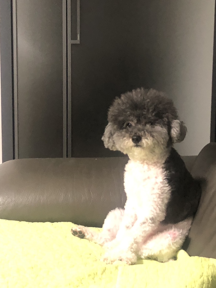 용미사 이미지