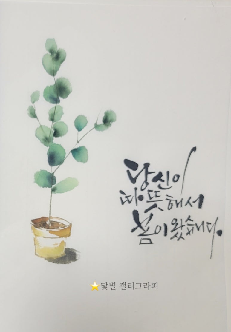 닻별아트 이미지