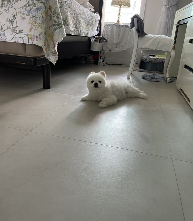 오씨오씨 이미지