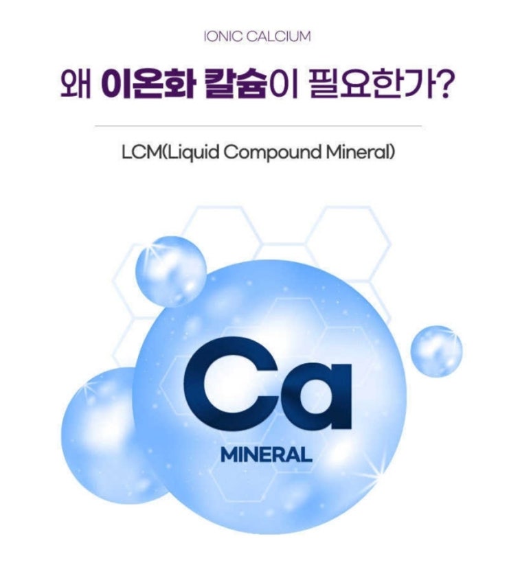 엘씨엠 이미지