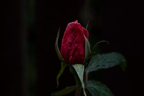 세컨드브레인 이미지