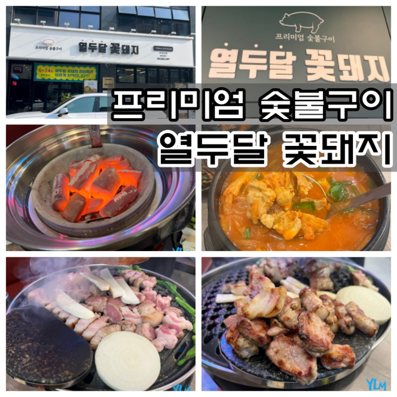 열두달꽃돼지 이미지