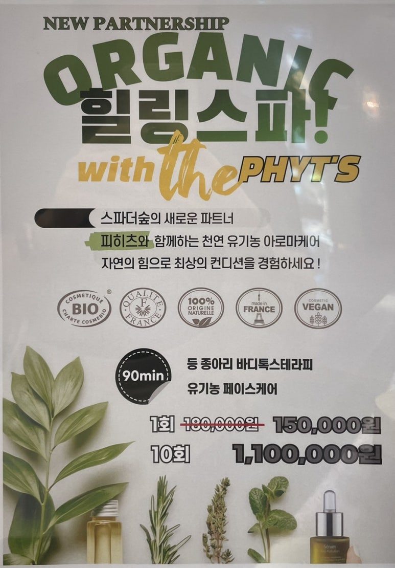 스파더숲 이미지