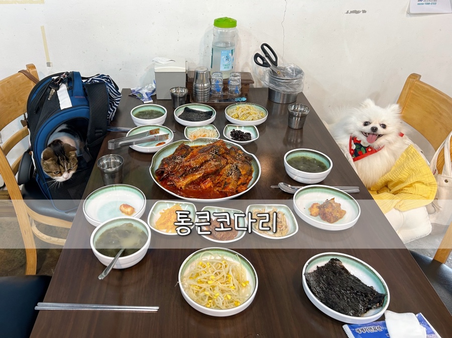 통큰코다리 이미지