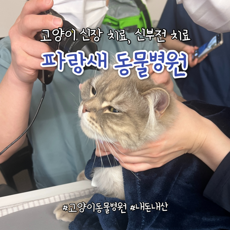 금천사료 이미지