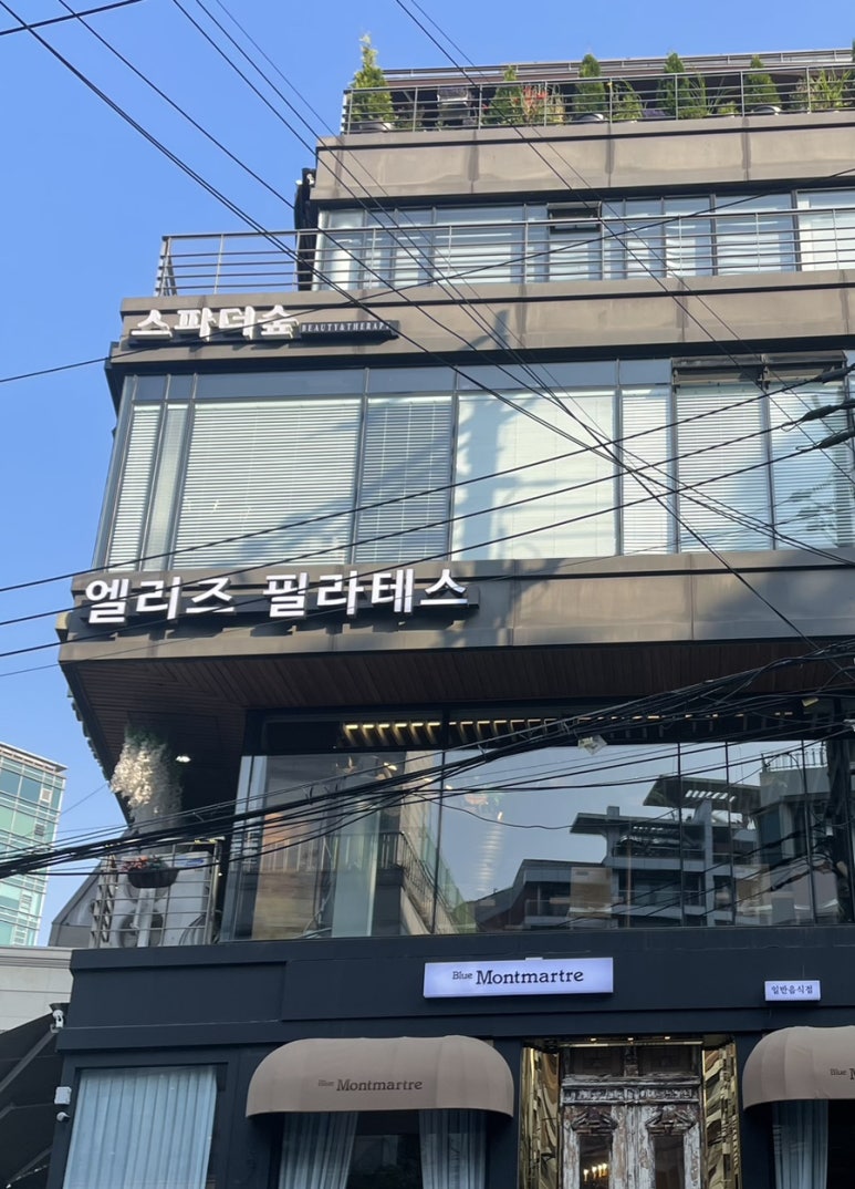 스파더숲 이미지