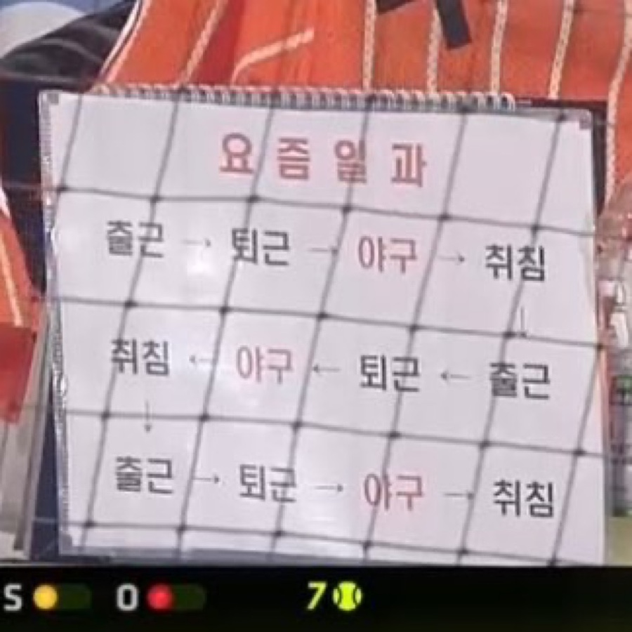 쟈티 이미지