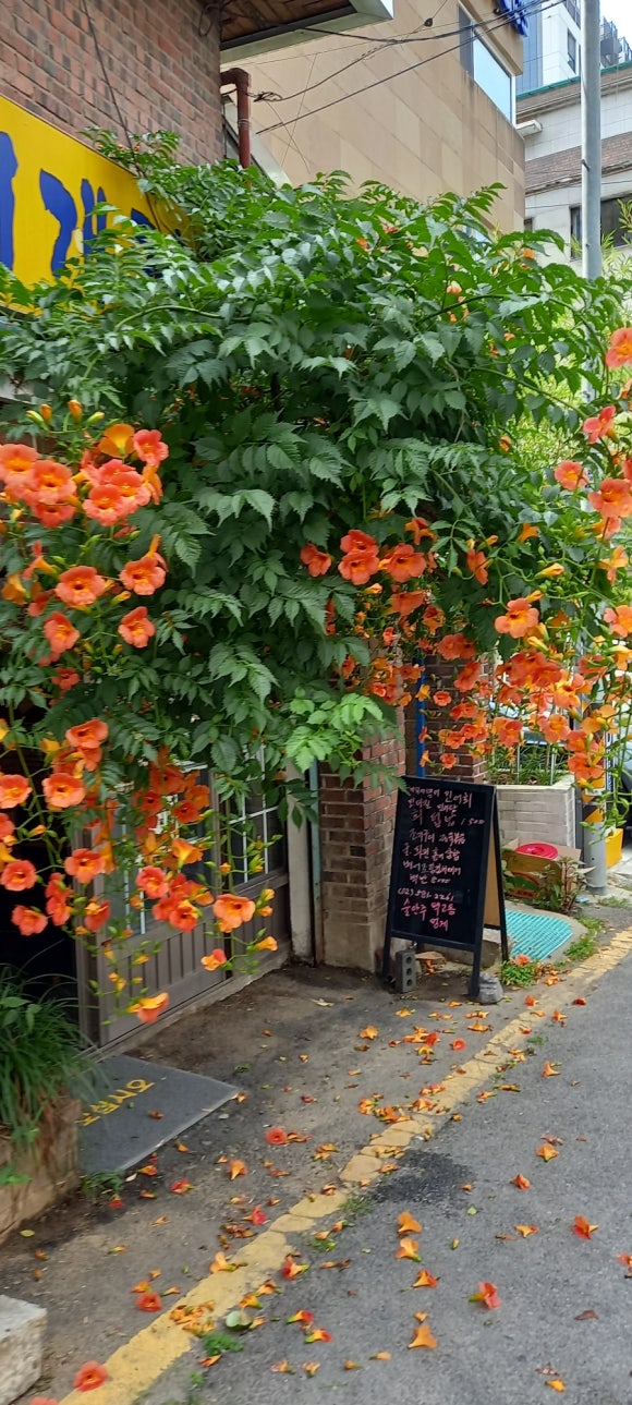 복을주는집 이미지