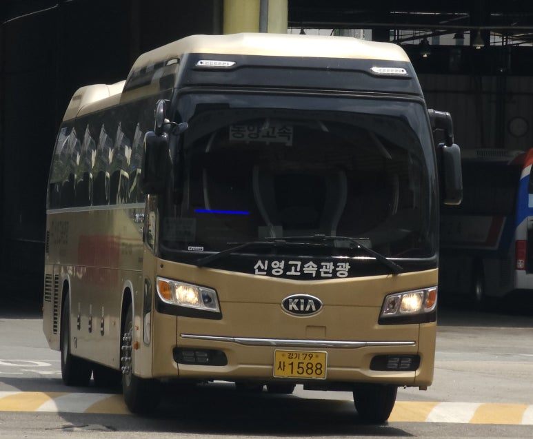 신영관광 이미지