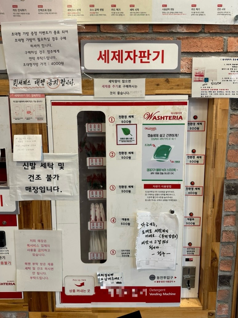 워시테리아올레 이미지