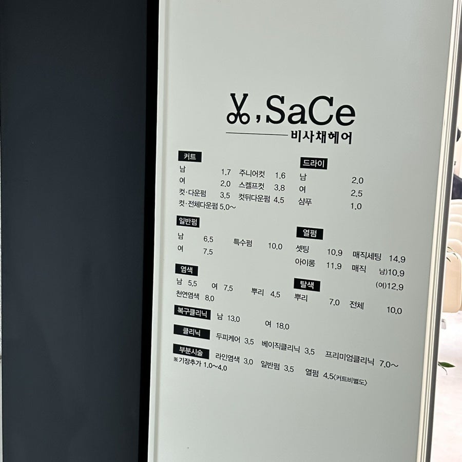 비사채 이미지