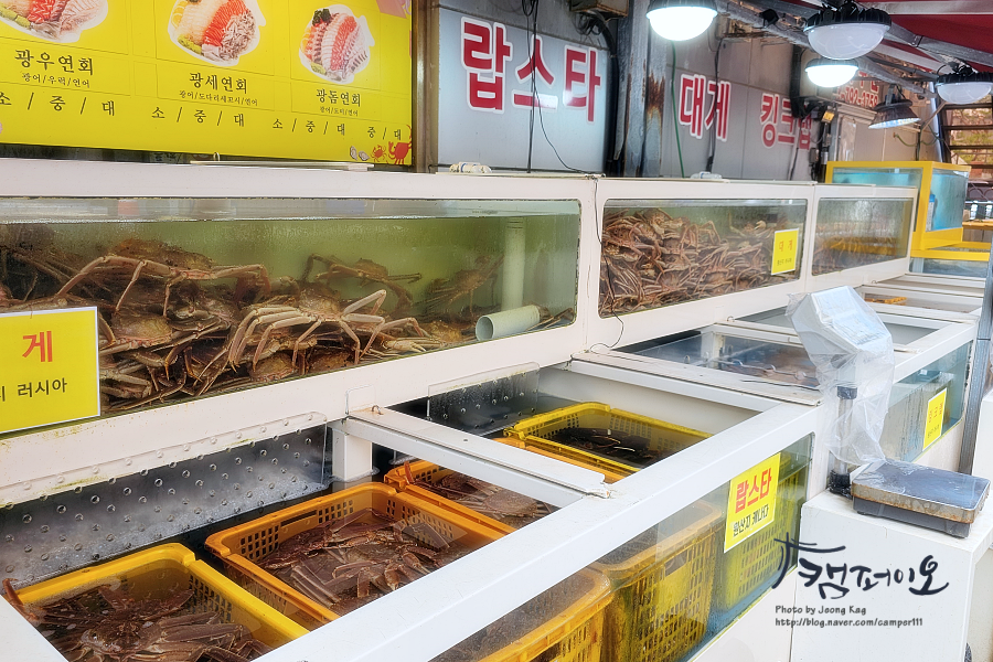 지오수산 이미지