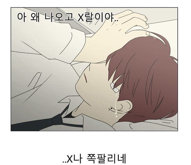 체르니 이미지