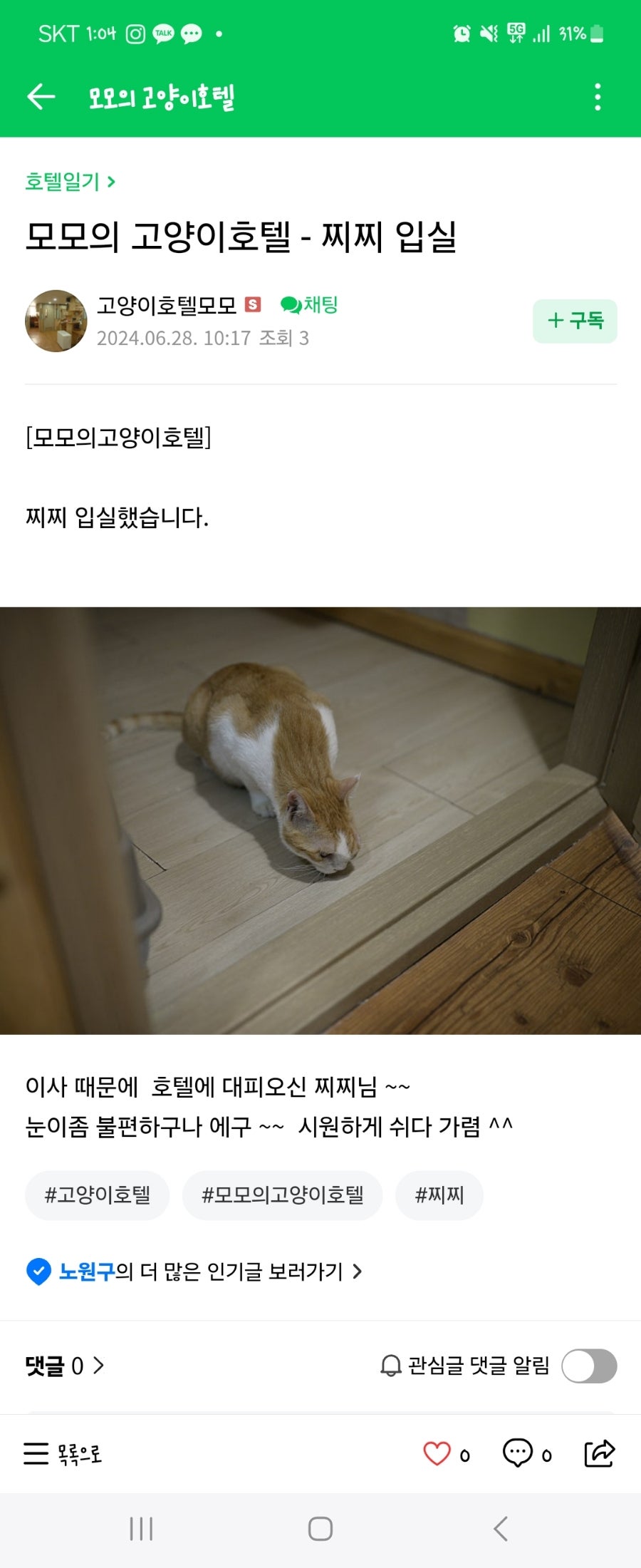 노원 고양이 호텔, 모모의고양이호텔 방문 후기 — 사진 14