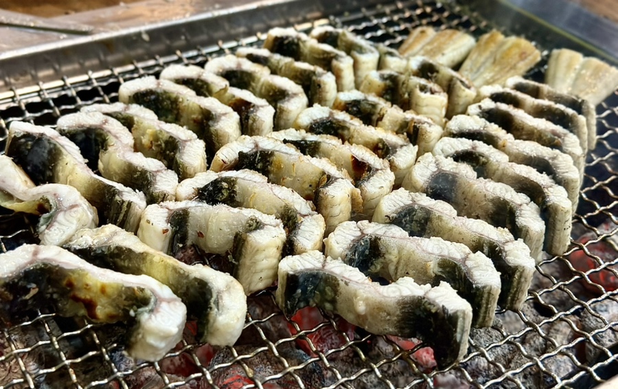 장군장어 이미지