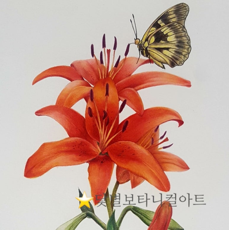 닻별아트 이미지