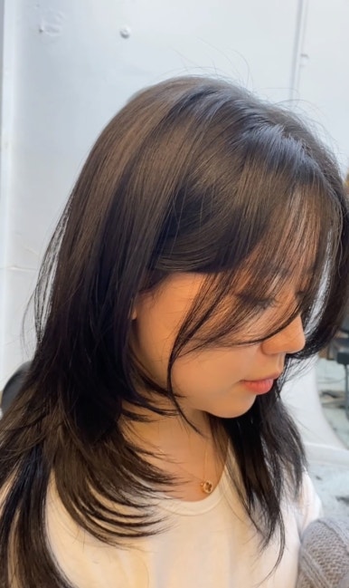 라인컷 이미지