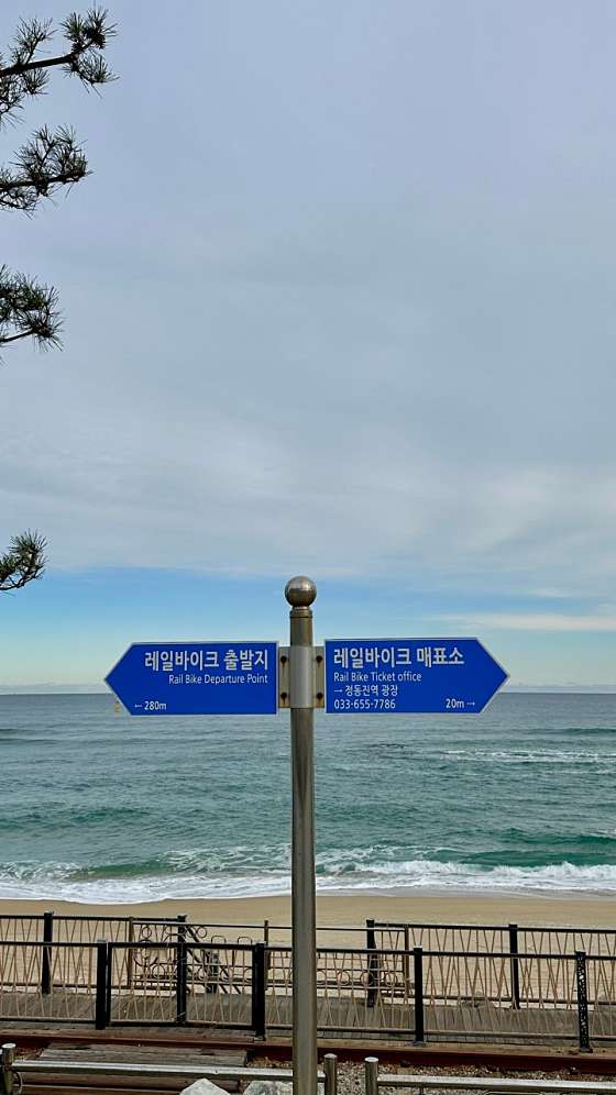 강릉정동진레일바이크 이미지