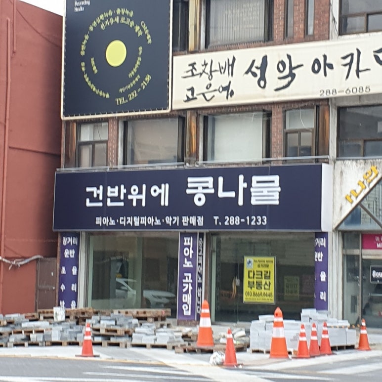건반위에콩나물 이미지