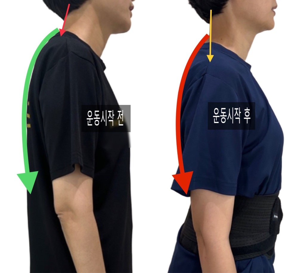 어시스트짐 이미지