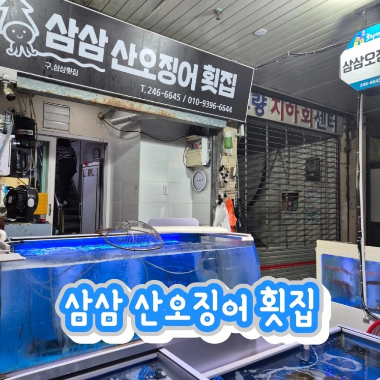 찐찐산오징어 이미지