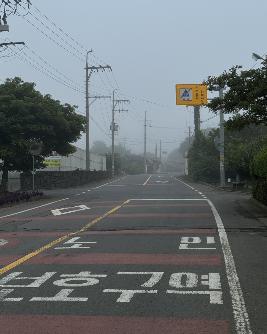 낙천서가 이미지