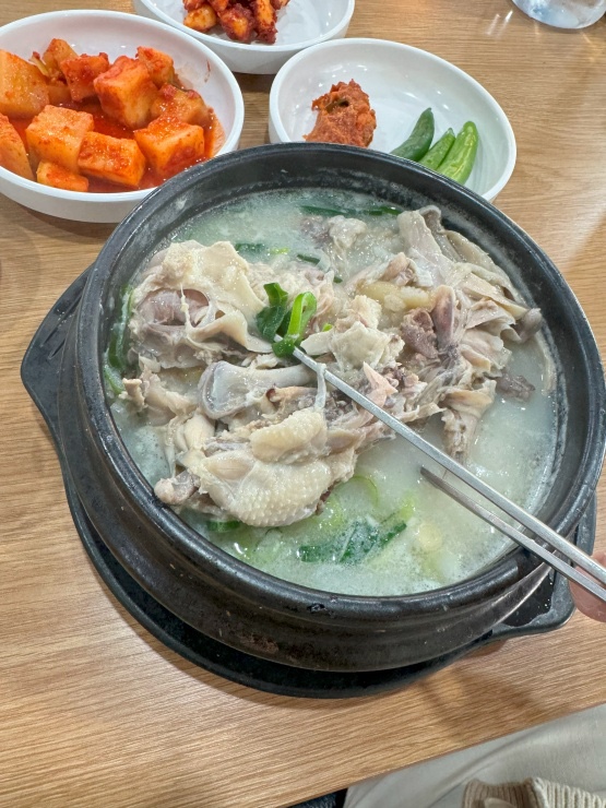 진심코다리 이미지