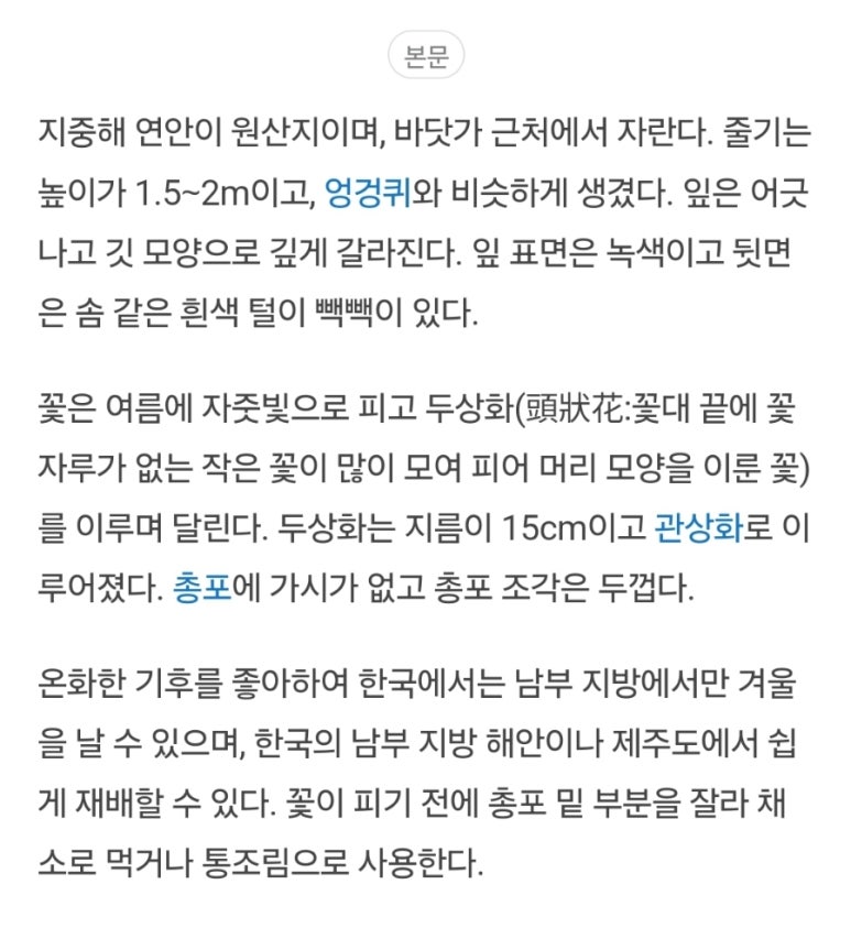 리노브(LINNOV) 이미지