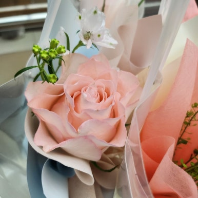 소예플레르 이미지