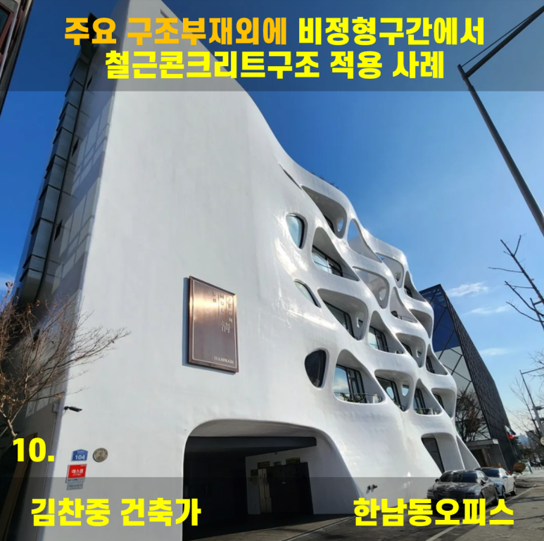 오피스나무 이미지