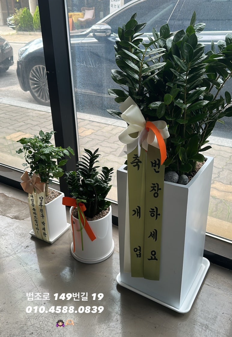 델러컷 이미지