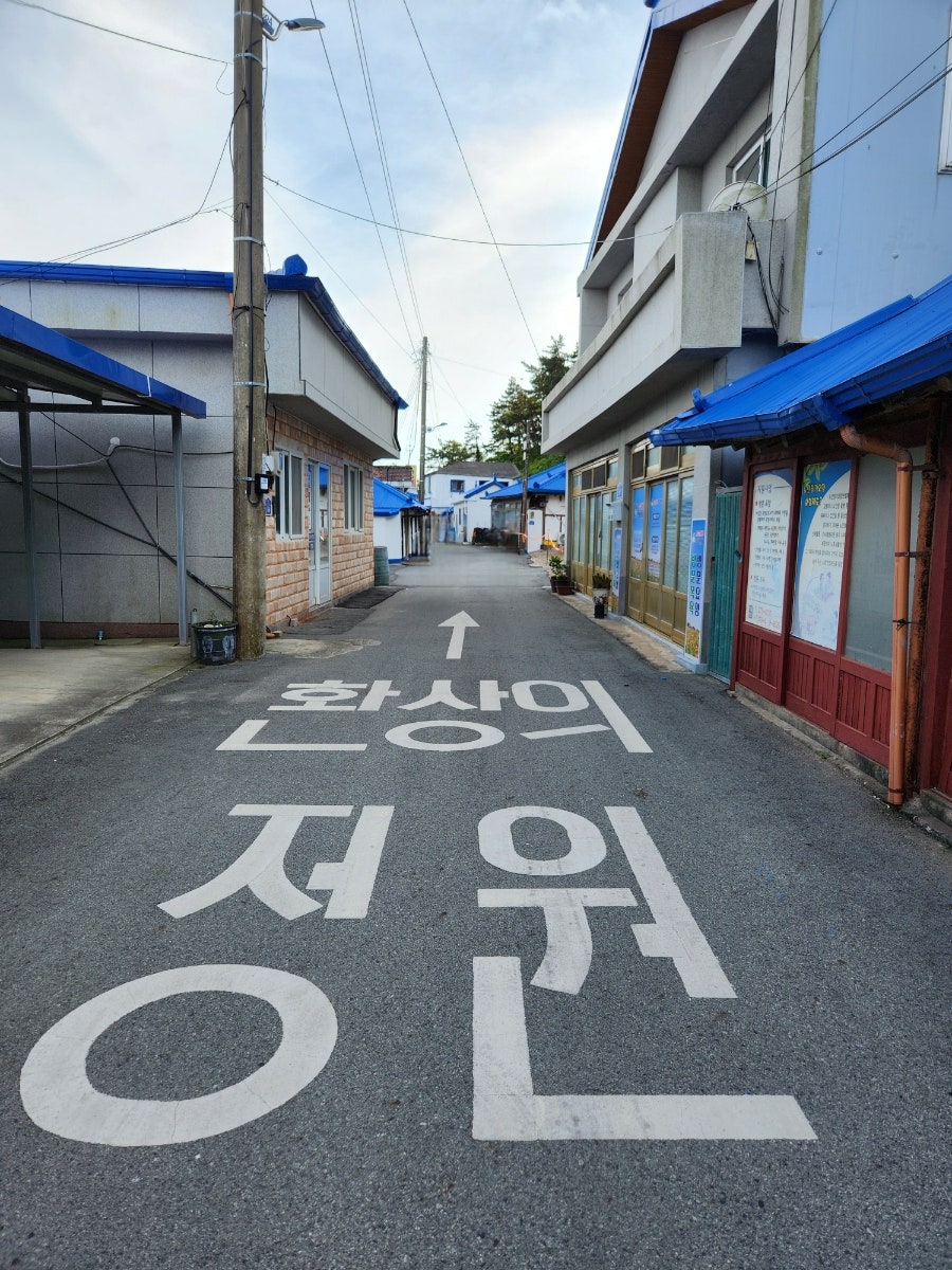꽃띄움 이미지