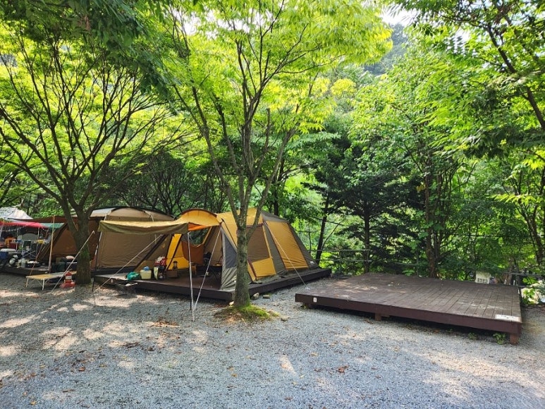 단양솔티천캠핑장 이미지