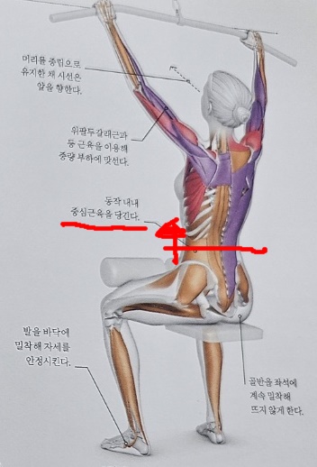 곤코치피트니스 이미지
