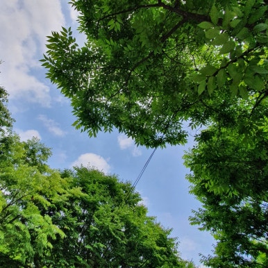 단양솔티천캠핑장 이미지