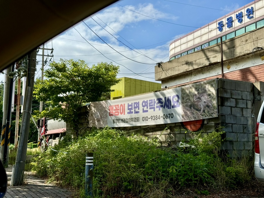 맹꽁이주유소 이미지