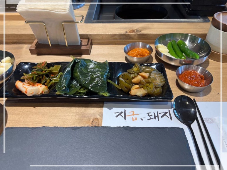 지금,돼지 이미지
