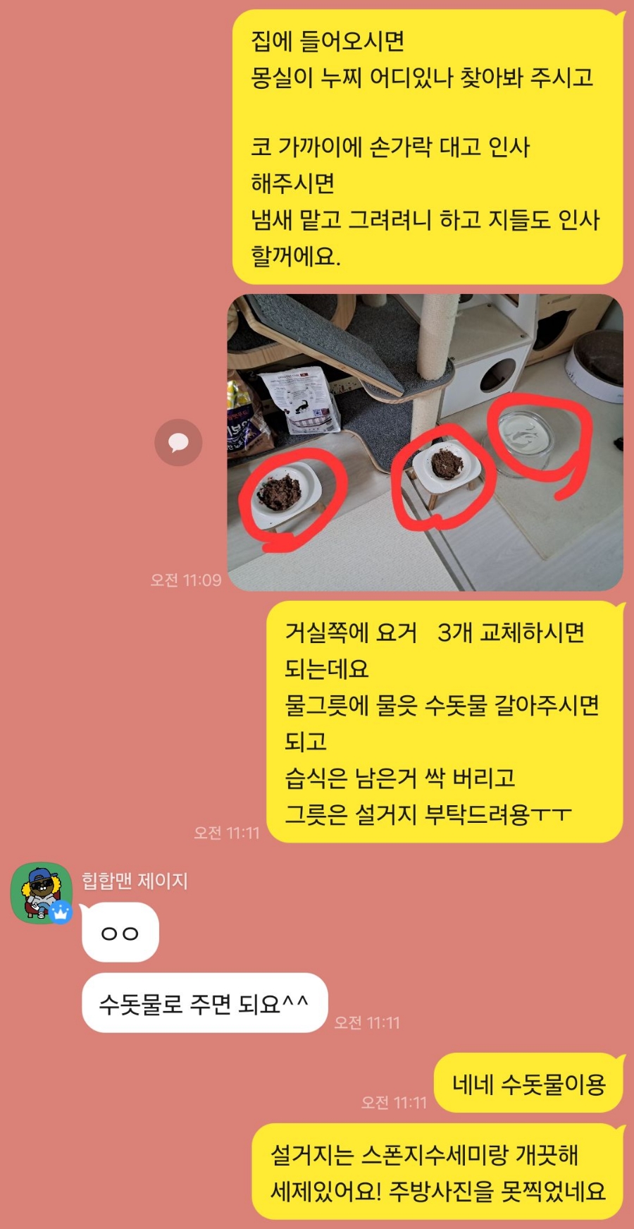 고양이 방문 탁묘 후기: 펫인플루언서의 세심한 돌봄 경험 — 사진 2