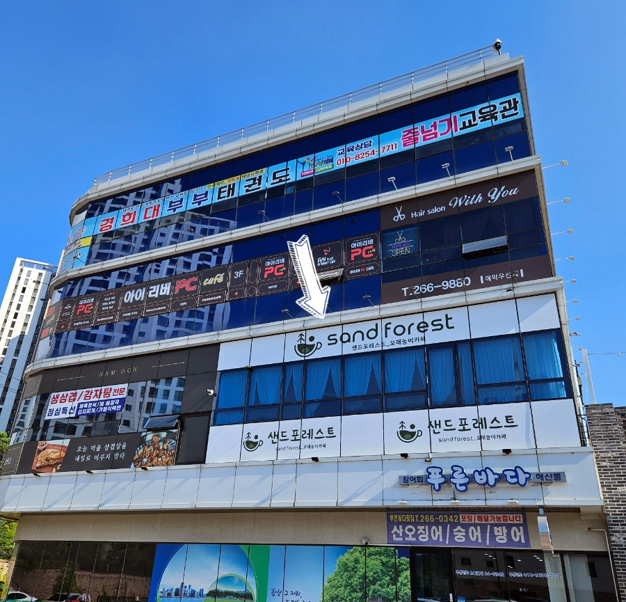 샌드포레스트 이미지