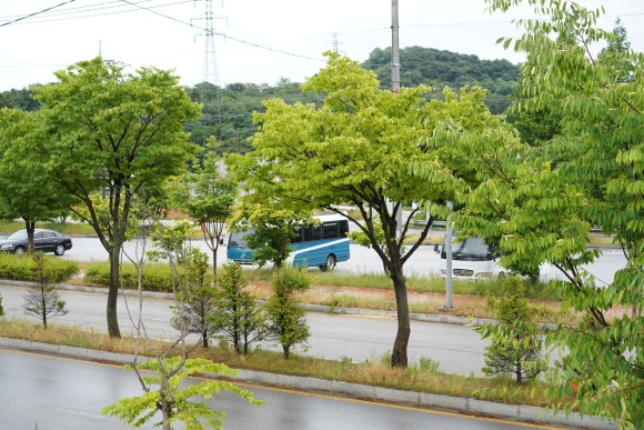 미화 3색김밥 까페 이미지