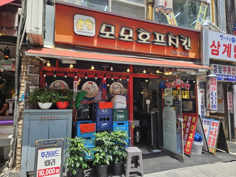 모모호프 이미지