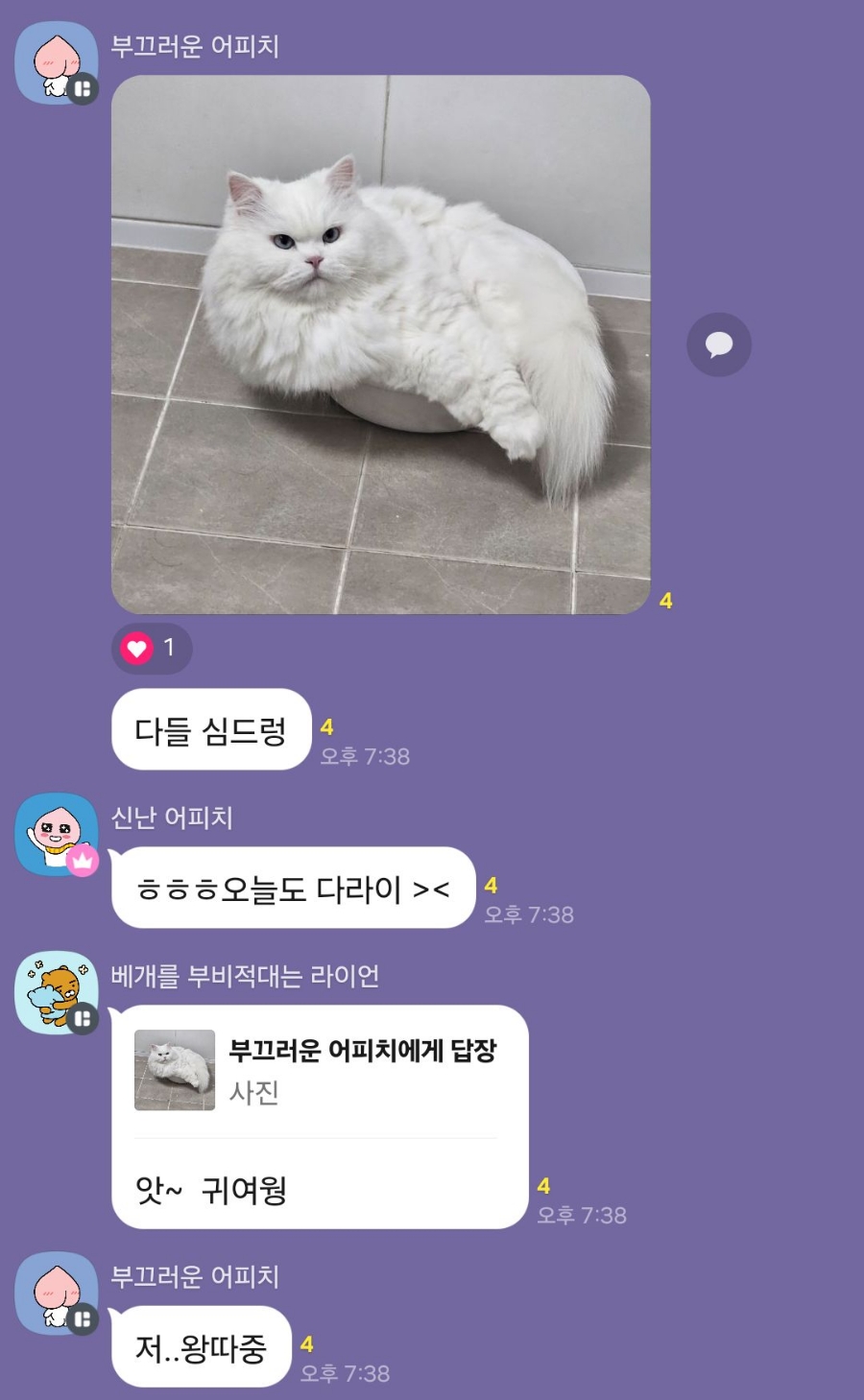 고양이 방문 탁묘 후기: 펫인플루언서의 세심한 돌봄 경험 — 사진 11