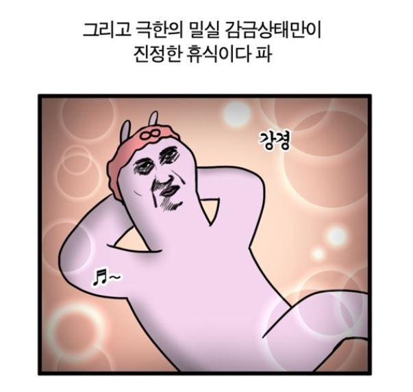 코타키나 이미지