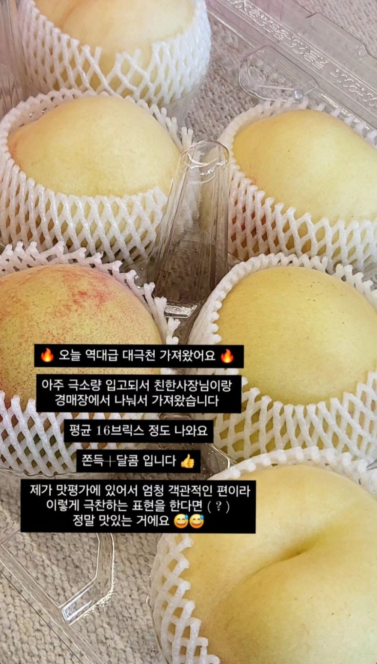 송푸르타 이미지