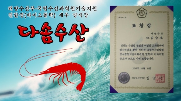 철없는 새우 이미지