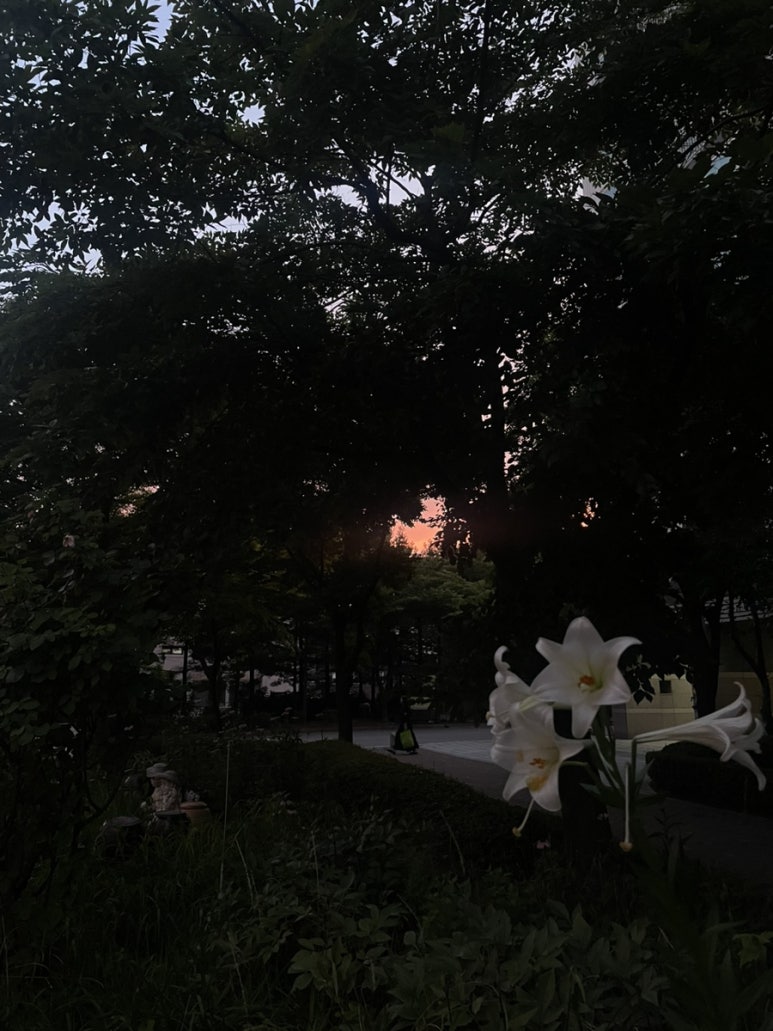 (주)아크메 이미지