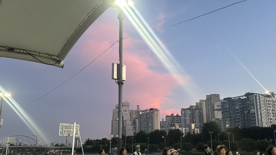 찡's 이미지